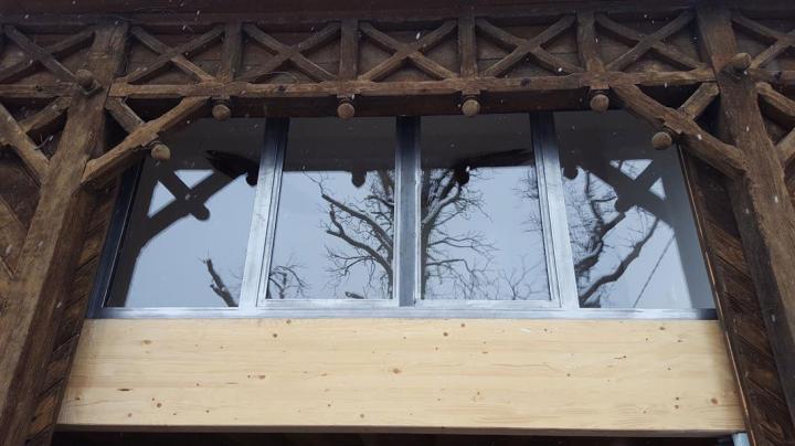 Pose de fenêtres métalliques Saint-Étienne